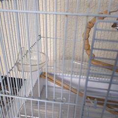 バードケージ＆ヒーター　鳥かごと暖房器具の画像