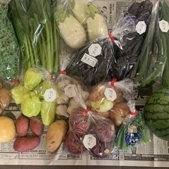食品