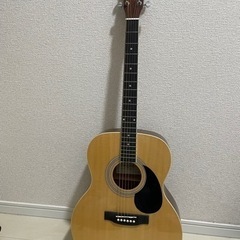 楽器 弦楽器、ギター