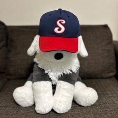 【神戸西】草野球メンバー募集⚾️