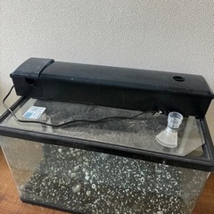 プログレ600水槽セットの画像