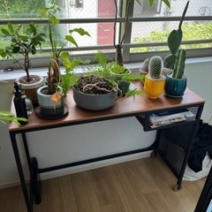 IKEA Fjällbo フィエルボ ラップトップテーブル ブラック