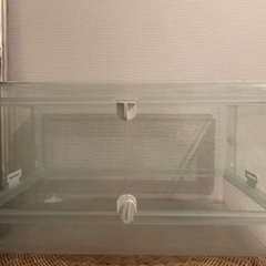 小動物、ゲージ、セットでお譲りします！