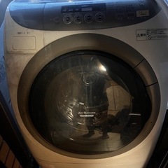 家電 生活家電 洗濯機
