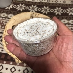 決まりました。クワガタ幼虫用　菌糸カップ30個 
