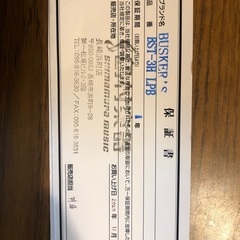 BUSKER'S BST-3H LPB エレキギターの画像