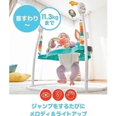 フィッシャープライス(fisher price) ゆかいなレインボーフォレストジャンパルー の画像