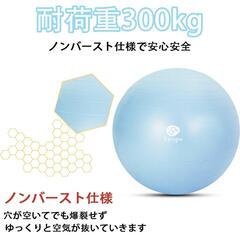 バランスボール 55cm 空気入れ付きの画像