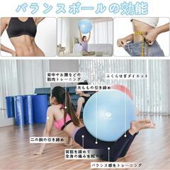 バランスボール 55cm 空気入れ付きの画像