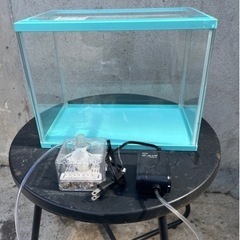 32㎝GEXアクアブルースリム水槽🐠熱帯魚飼育🐠海水魚飼育インテ...