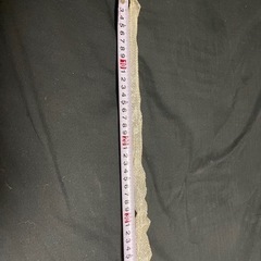 蛇の抜け殻の画像