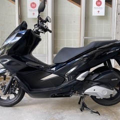 PCX JF81モデル 黒‼️の画像