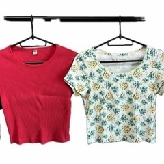 UNIQLO、H&M、ショート丈、半袖Tシャツの画像