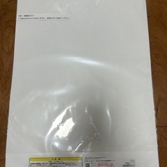 1番くじ鬼滅の刃最高位の剣士柱ビックメタリックアートシート
の画像