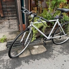 自転車 クロスバイクの画像