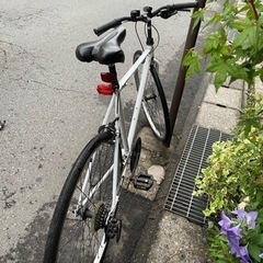 自転車 クロスバイクの画像