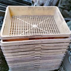 農業　苗 稲　カゴ　トレーの画像