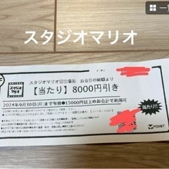 スタジオマリオ　8000円引　割引クーポン