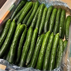 受け渡し者【決定】①国産（福島県産）きゅうり10本
