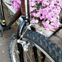 BRIDGESTONE ビンテージ・ブリヂストン・ワイルドウエストMTB        の画像