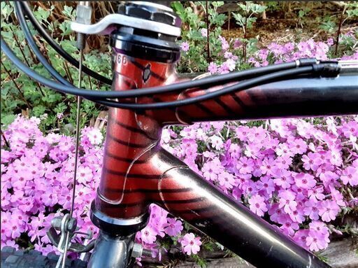 BRIDGESTONE ビンテージ・ブリヂストン・ワイルドウエストMTB        