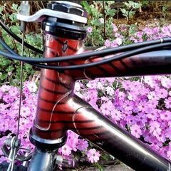 BRIDGESTONE ビンテージ・ブリヂストン・ワイルドウエストMTB        の画像