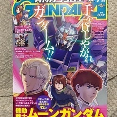 ガンダムエース 7月号 本/CD/DVD 雑誌