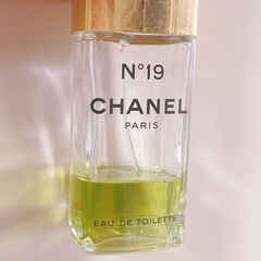 c3693 CHANEL シャネル　19 オーデトワレ　100mlの画像