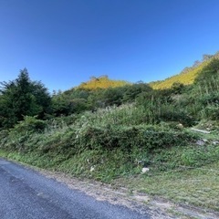 【お買い得&早い者勝ち】廿日市市　中道の山林12000坪---成約済み - 不動産