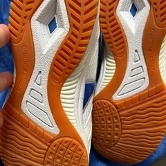 スポーツシューズ、体育館シューズの画像