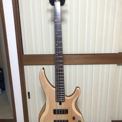YAMAHA TRBX 604