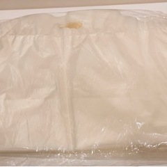 成約済【ケーキBOX用】100枚入ハンディバッグYLの画像