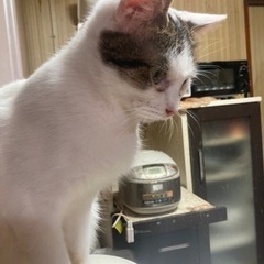 やっばり大きいと人気ないの？😔
