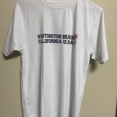 men'sTシャツ TYR（ティア）白（半袖）（Lサイズ）の画像