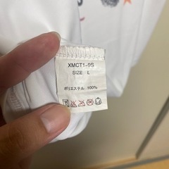 men'sTシャツ TYR（ティア）白（半袖）（Lサイズ）の画像