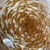 ランキングキーワードに紐づく投稿画像-メダカ