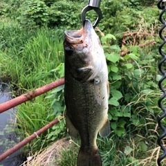 釣り友達🎣