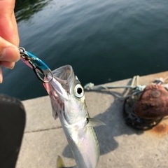 釣り友達🎣 - 友達