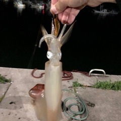 釣り友達🎣 - 黒川郡