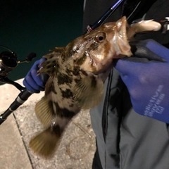 釣り友達🎣 - メンバー募集