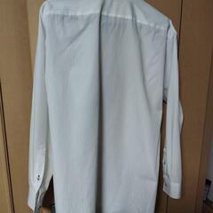 服/ファッション シャツの画像