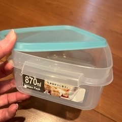 メダカの針子～針子抜け 20匹
の画像