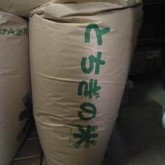 受付一旦停止　那須の米