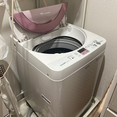 家電 生活家電 洗濯機
