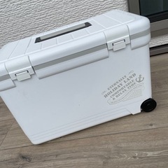伸和　クーラーボックスの画像