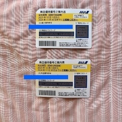ANA 株主優待　2枚(有効期限2024年11月30日)バラ売り可