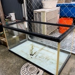90センチ水槽　水槽　の画像