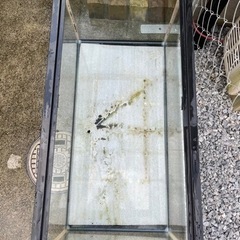 90センチ水槽　水槽　の画像