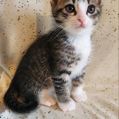 6月13日保護 おんなのこ♡
