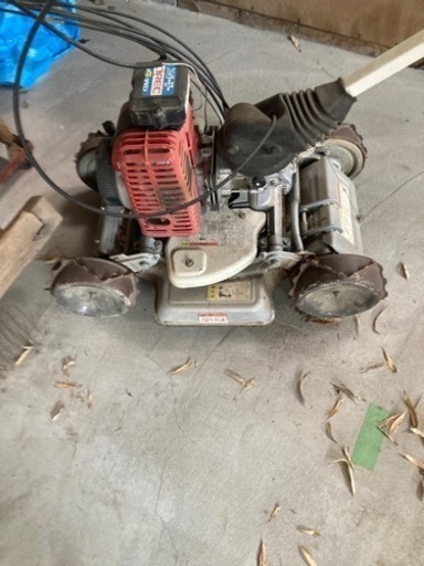 スパイダーモア